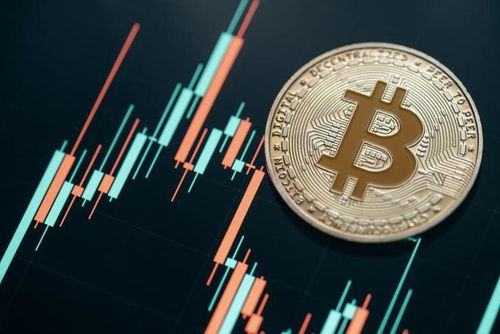 Bitcoin mining farm with numerous ASIC miners.